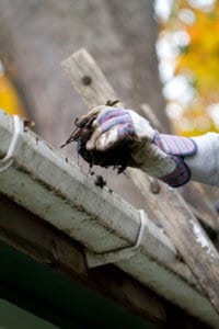 how to clean gutters appleton