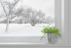 best winter weather windows