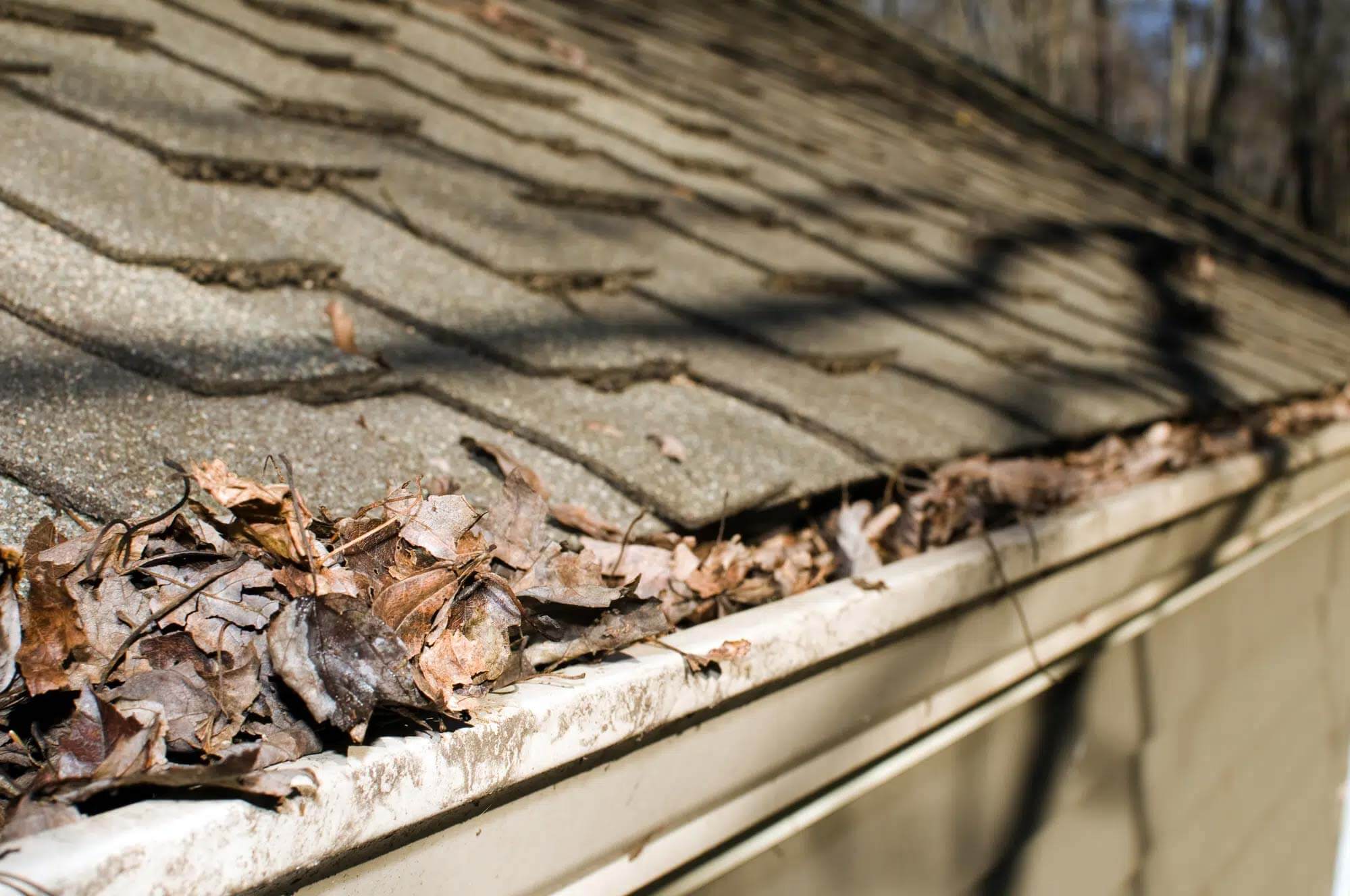 Gutter Replacement in Appleton & Green Bay Wisconsin